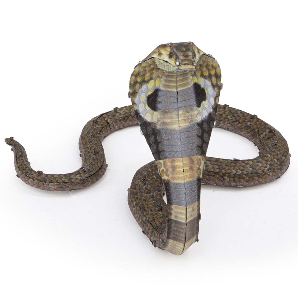 Cobra (farbiges Modell)