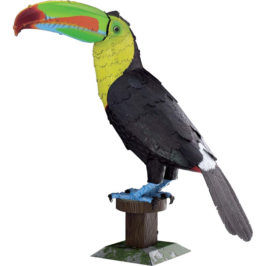 Keel-billed Toucan (Regenbogentukan)