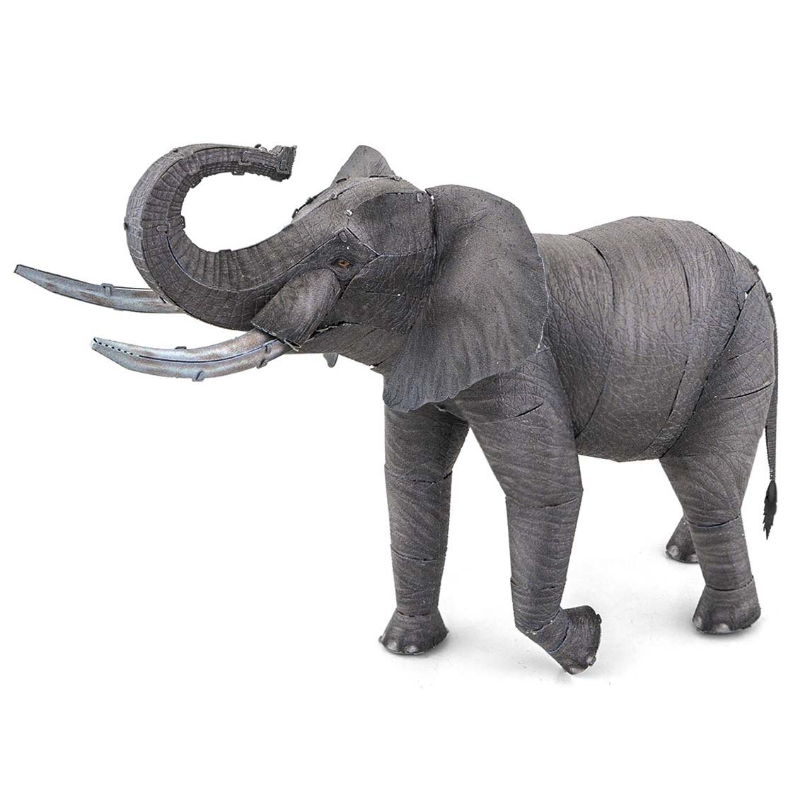 African Elephant