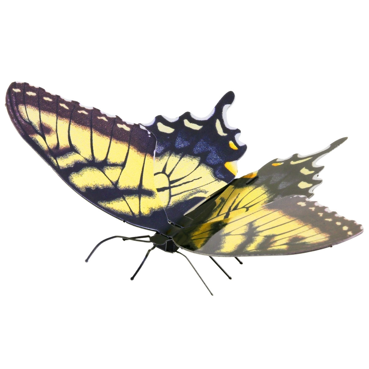 Schmetterling Tiger Swallowtail