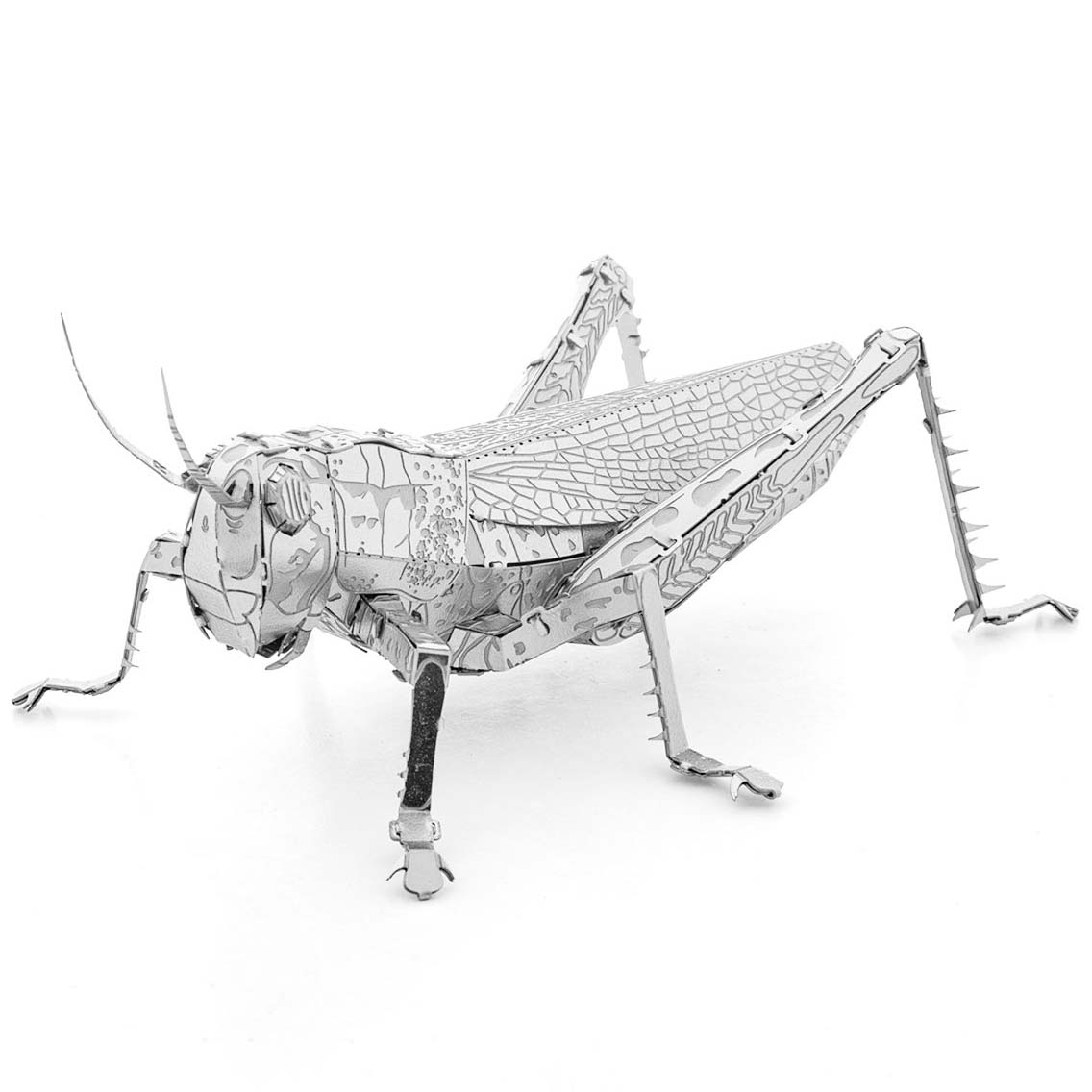 Grasshopper (Grashüpfer)