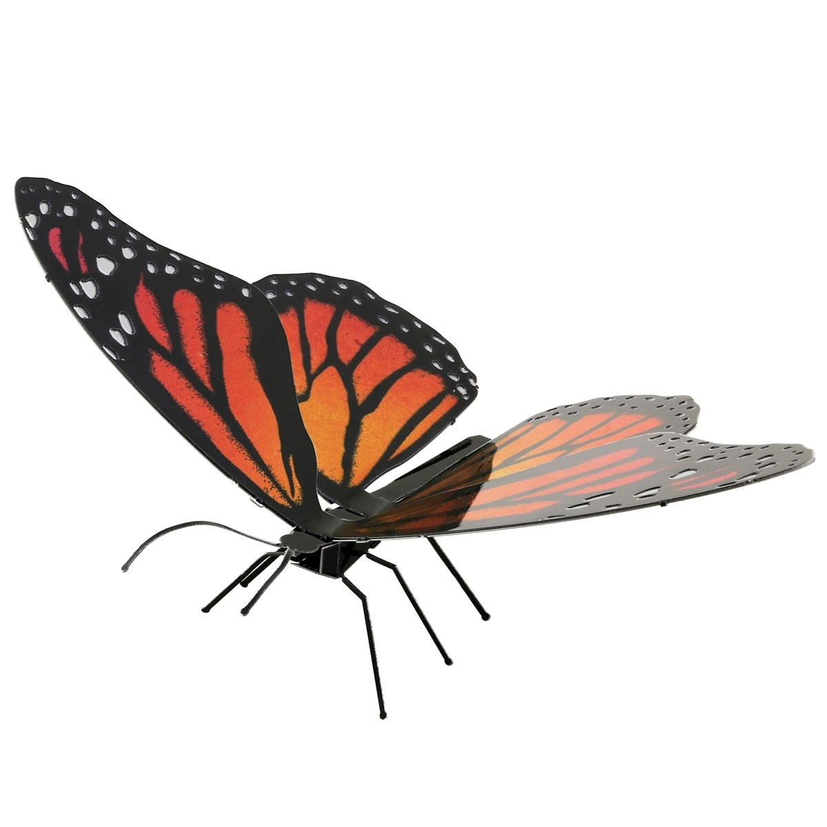Schmetterling Monarch