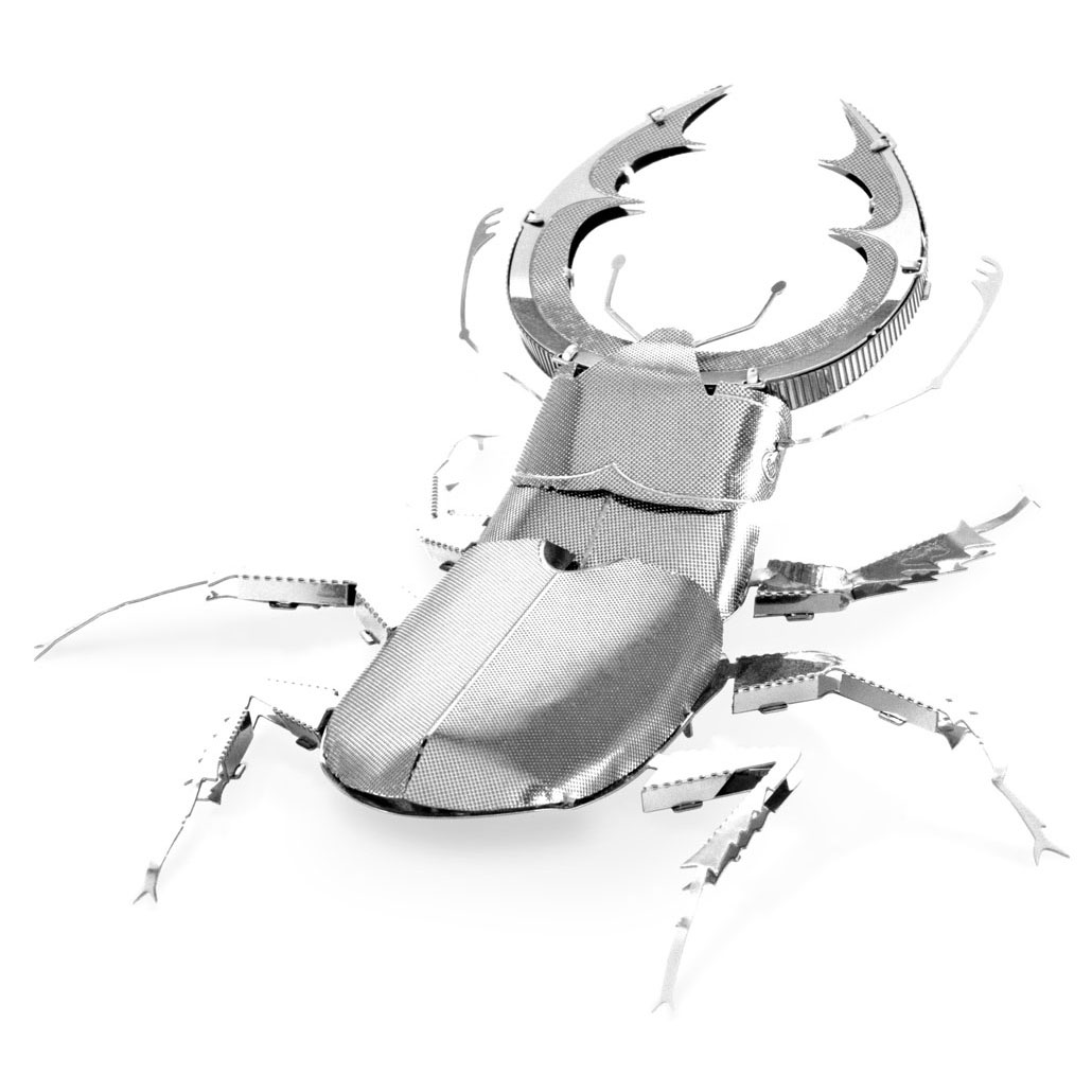 Stag Beetle (Hirschkäfer)
