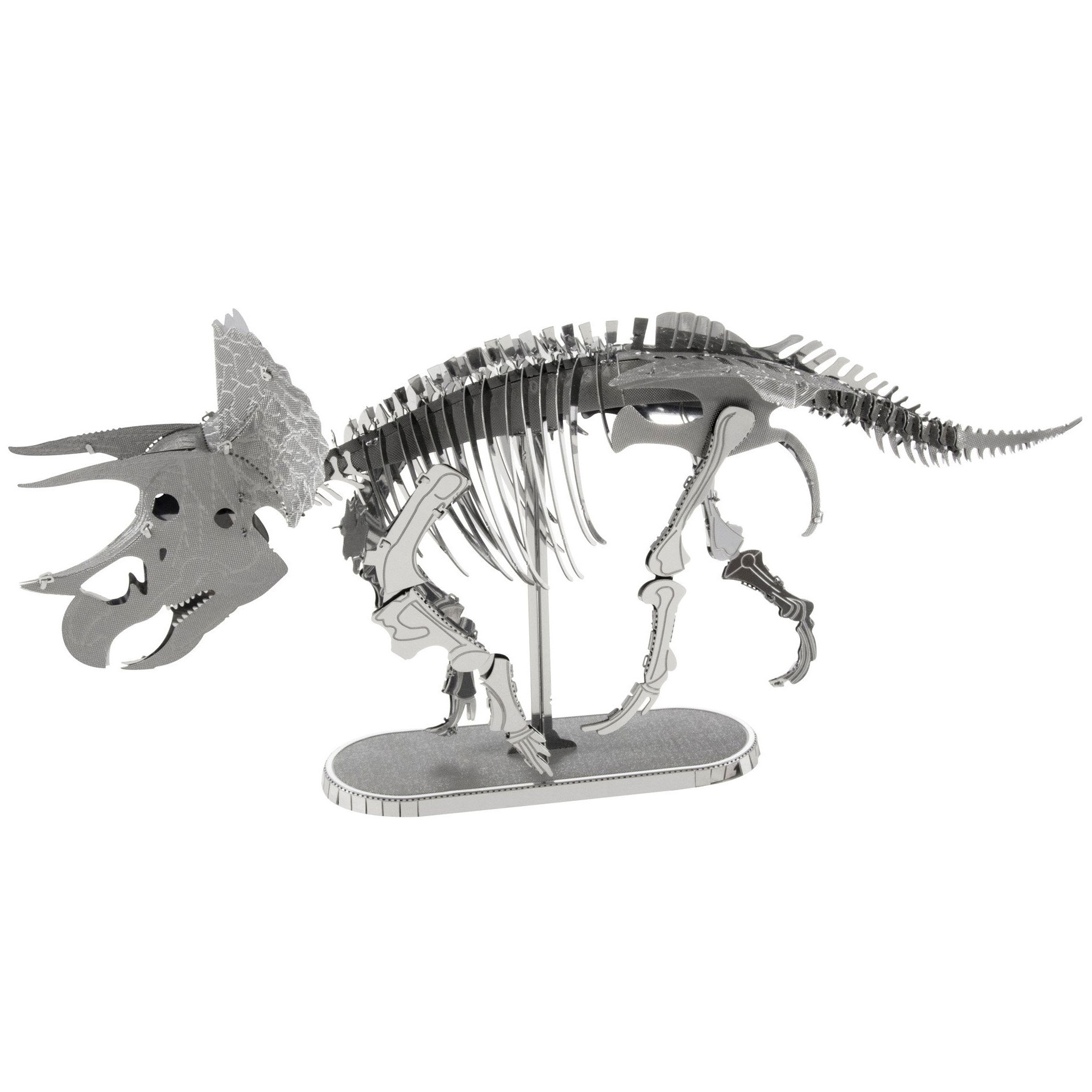 Triceratops