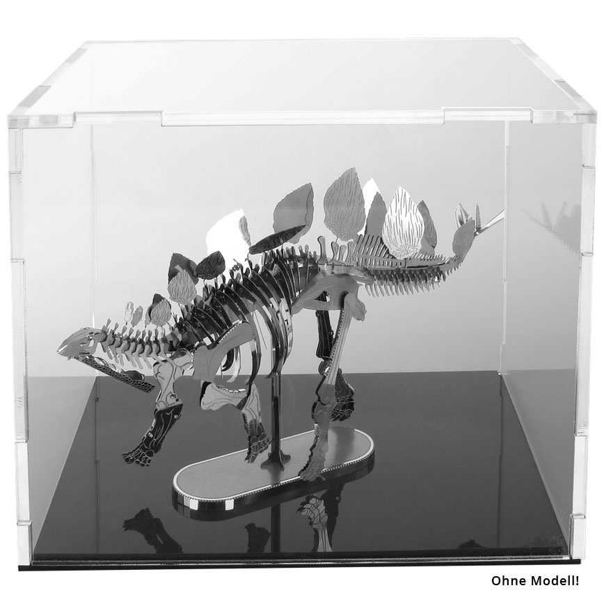 Acrylic Display Cube 1 (10x13x10 cm)